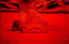 Delirium (HND) : Delirium Tremens